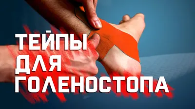 Фиксатор голеностопа Orto Professional TAN 500 (S) купить недорого в  Ставрополе | OrtoGo.ru