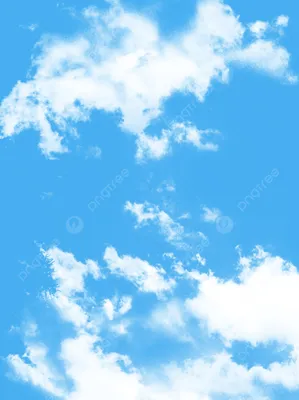 Фотообои Голубое небо nus_11596 купить в Украине | Интернет-магазин  Walldeco.ua