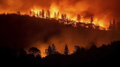 Что происходит в зоне ЧС из-за лесных пожаров в Тюменской области, пожары в  Аромашевском и Ишимском районах - 8 мая 2021 - 72.ru