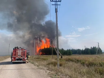 У одного из курортов Одесчины сгорело 7 га леса.