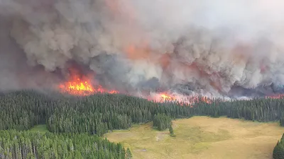 Дым от горящего леса в лесах города горящих в Орегоне, Вашингтоне и  Калифорнии. Опасность Стоковое Фото - изображение насчитывающей  изображение, развилки: 195945114