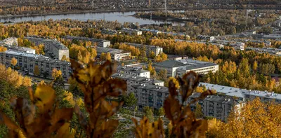 осень в городе Зея | Зейский район | Фотопланета