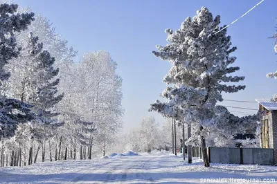 Зея | Рыбалка , песни , красота | Дзен