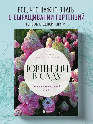 Гортензии в саду. Практический курс Эксмо 179800761 купить за 1 454 ₽ в  интернет-магазине Wildberries