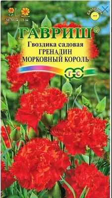 Гвоздика садовая - Szabo - смесь - 275 семена - Dianthus caryophyllus –  Garden Seeds Market | Бесплатная доставка