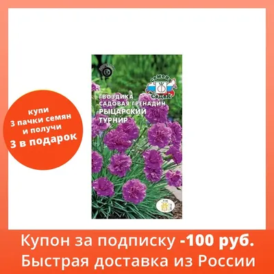 Выращивание гвоздики Шабо из семян | Идеи посадки растений, Орхидея,  Съедобные цветы