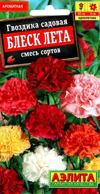 Гвоздика садовая Collection Pink Bouquet