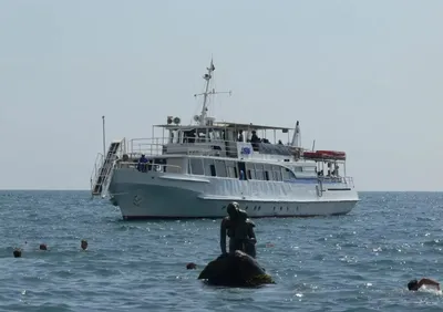 В Ялте из-за морского планктона море стало бирюзового цвета - Ялта-24 - ВСЕ  ГОРОДСКИЕ СОБЫТИЯ