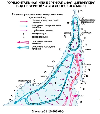 Хунхузы Японского моря. Браконьерство судов под флагом КНДР у берегов  Приморья угрожает международному морскому праву, государственной границе РФ  и экологии — Новая газета