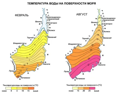 Биологи впервые исследуют загрязнение Японского моря микро- и макропластиком