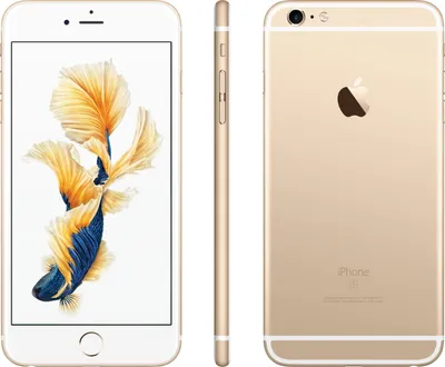 Apple iPhone 6 Plus Price in Pakistan 2024 | PriceOye