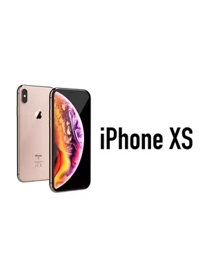 Смартфон Apple iPhone XS - купить по выгодной цене в интернет-магазине OZON  (1312965072)