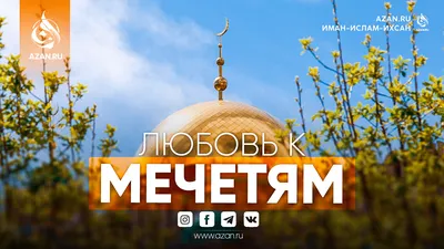 Любовь в Исламе | islam.ru