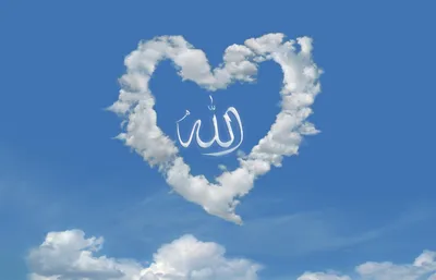 Таинство истинной любви | islam.ru