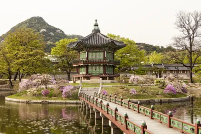 Южная Корея – больше, чем просто Сеул! | Ассоциация Туроператоров