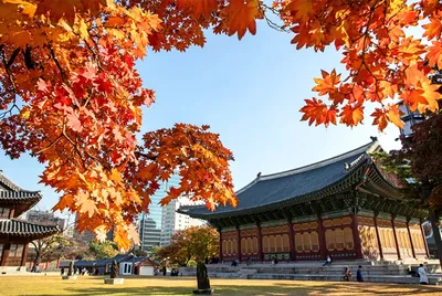 Советы блогера для поездки в Сеул. Лучшие места столицы Южной Кореи