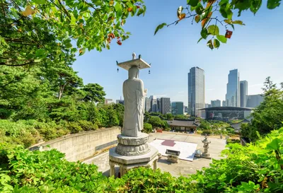 Лагеря в Южной Корее для подростков 2024 – Путевки, цены, рейтинг, отзывы