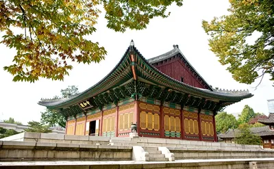 Сеул, Южная Корея: что посмотреть, куда сходить — Litakom.com