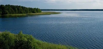 Благодаря ядерным методам стало известно, сколько воды вам стоит пить в  течение дня | МАГАТЭ