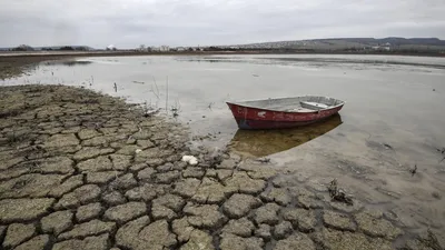 Почему тошнит от обычной воды? | Для пациентов | Дзен