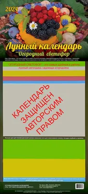 Горячий ответ австралийским спасателям: Пожарные из Петербурга снялись  топлес для календаря ради помощи детям с ДЦП - KP.RU