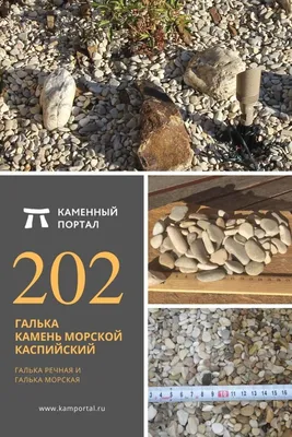 Мир камней Крым Жемчужная галька морская 10-30 мм, 3 кг.