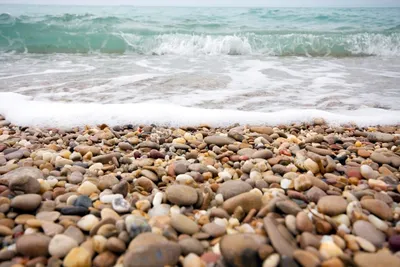 Какие камни встречаются на российском побережье Черного моря? | Свет  знаний☀ | Дзен