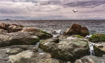 Красивые камни на море (54 фото) - 54 фото