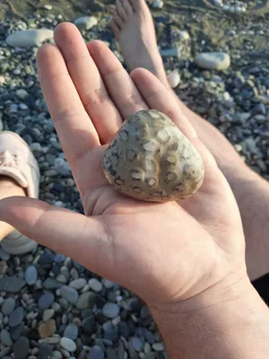 Красивые камни на море (56 фото) »