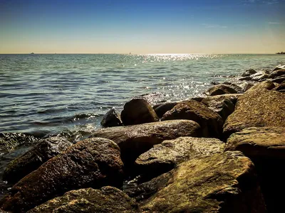 Камень Камни Море Морской - Бесплатное фото на Pixabay - Pixabay