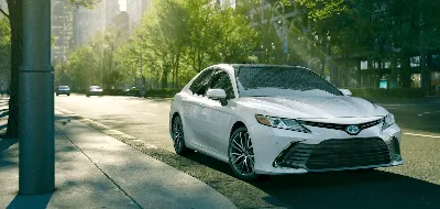 Брызговики Toyota Camry 60 2018 2019 2020 2021