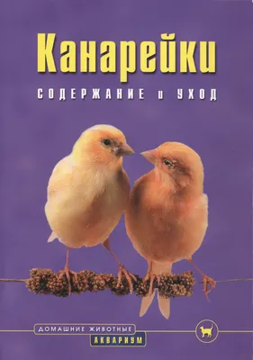 Канарейки глостер: Птицы с причёсками корейских мальчиков из дорам.