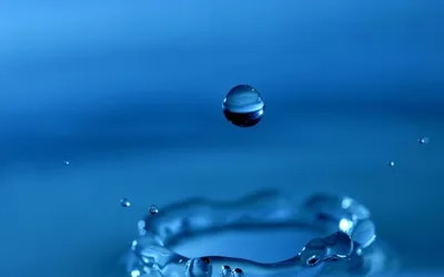 Капли воды на сером фоне :: Стоковая фотография :: Pixel-Shot Studio
