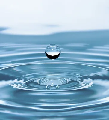 Капли воды на поверхности Stock Photo | Adobe Stock