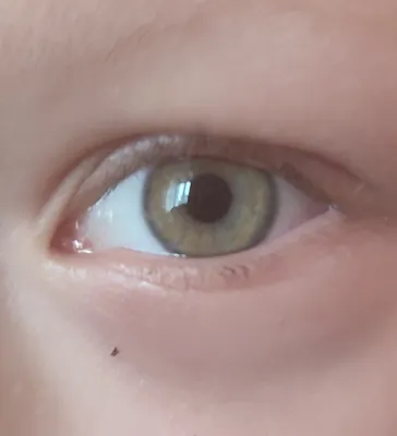 Цветные контактные линзы ADRIA Glamorous - «◅ О том, как меня Черт попутал  фиолетовые линзы купить... (+ фото на карих глазах)» | отзывы