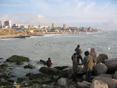 Обмелело или замерзло? Берег Каспийского моря встревожил блогера из Актау  (ВИДЕО)