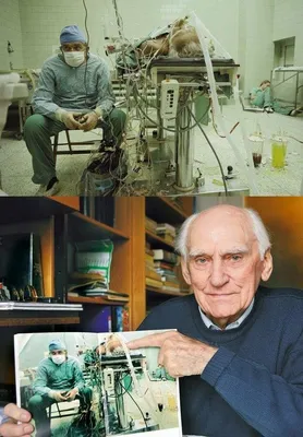 На первом фото - польский хирург Збигнев Релига после успешной операции по  пересадке сердца, длившейся 23 часа. В углу спит е… | Пересадка сердца,  Хирургия, Религия