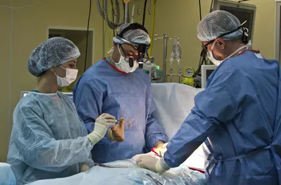 В Белгороде будут проводить операции на сердце по методике криоаблации —  FONAR.TV