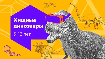 На аукционе продадут скелет хищного динозавра возрастом 76 млн лет | РБК  Life