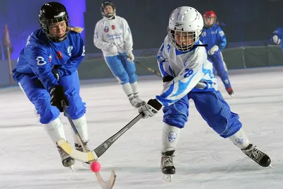 Что почём – хоккей с мячом: в Самарской области соревнования по зимнему  виду спорта начнутся осенью