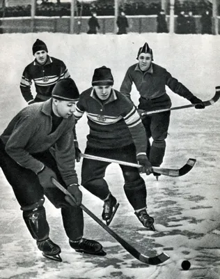 Хоккей с мячом собирал тысячи в мороз, а в условиях санкций выживает с  трудом - Ведомости.Спорт