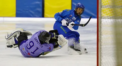 Команда по хоккею с мячом «Саяны» будет играть в Суперлиге | Министерство  физической культуры и спорта Республики Хакасия