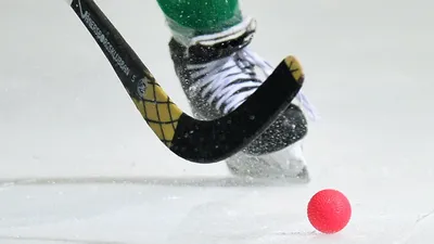 В России появилась Студенческая спортивная лига хоккея с мячом