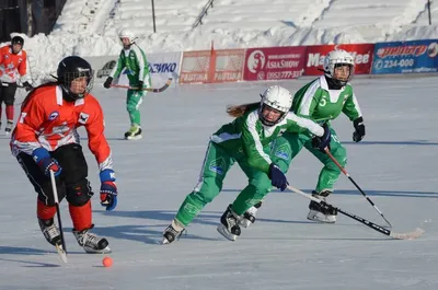 Сборная России по хоккею с мячом обыграла Швецию на «Турнире трех наций»