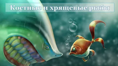 Биология – 7