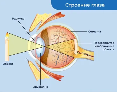 Как выбрать оптимальный хрусталик глаза при катаракте или рефракционной  замене хрусталика - YouTube