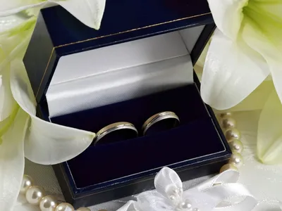Кольцо серебряное \"Продолжение\" в подарочной коробочке купить по цене 850 ₽  в интернет-магазине KazanExpress