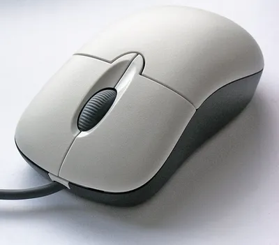 Компьютерная мышь — Википедия