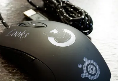Мышка, компьютерная мышь купить по цене 199 ₽ в интернет-магазине  KazanExpress