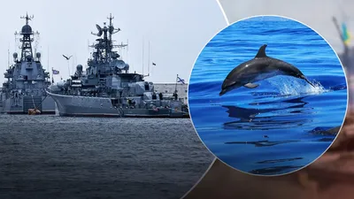Россия стягивает корабли разных флотов в Черное море – зачем?